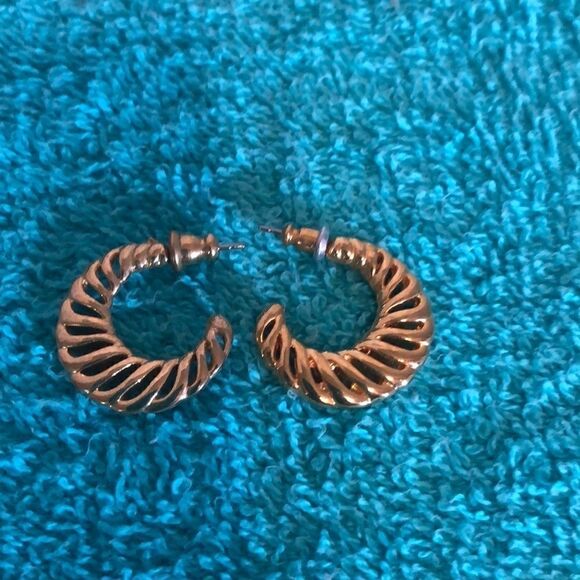 Hoop Earrings  - Picture 1 of 2